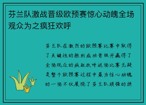 芬兰队激战晋级欧预赛惊心动魄全场观众为之疯狂欢呼