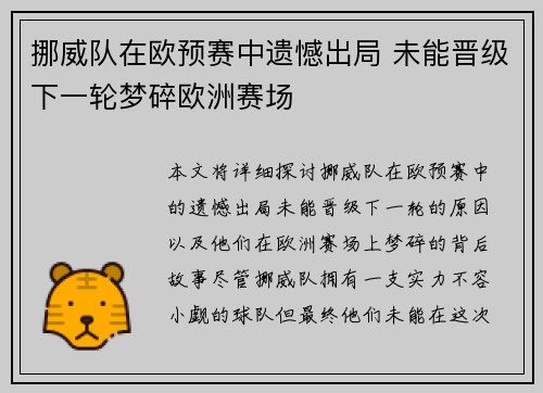 挪威队在欧预赛中遗憾出局 未能晋级下一轮梦碎欧洲赛场