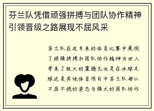 芬兰队凭借顽强拼搏与团队协作精神引领晋级之路展现不屈风采