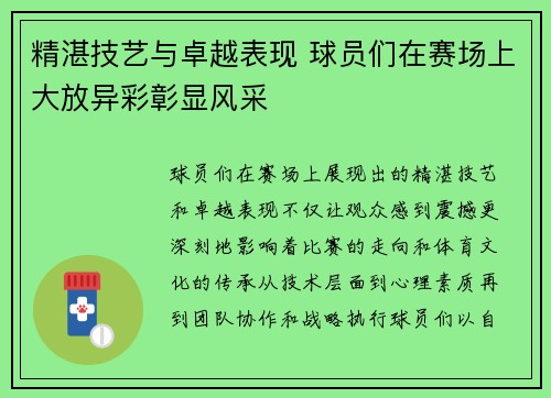 精湛技艺与卓越表现 球员们在赛场上大放异彩彰显风采
